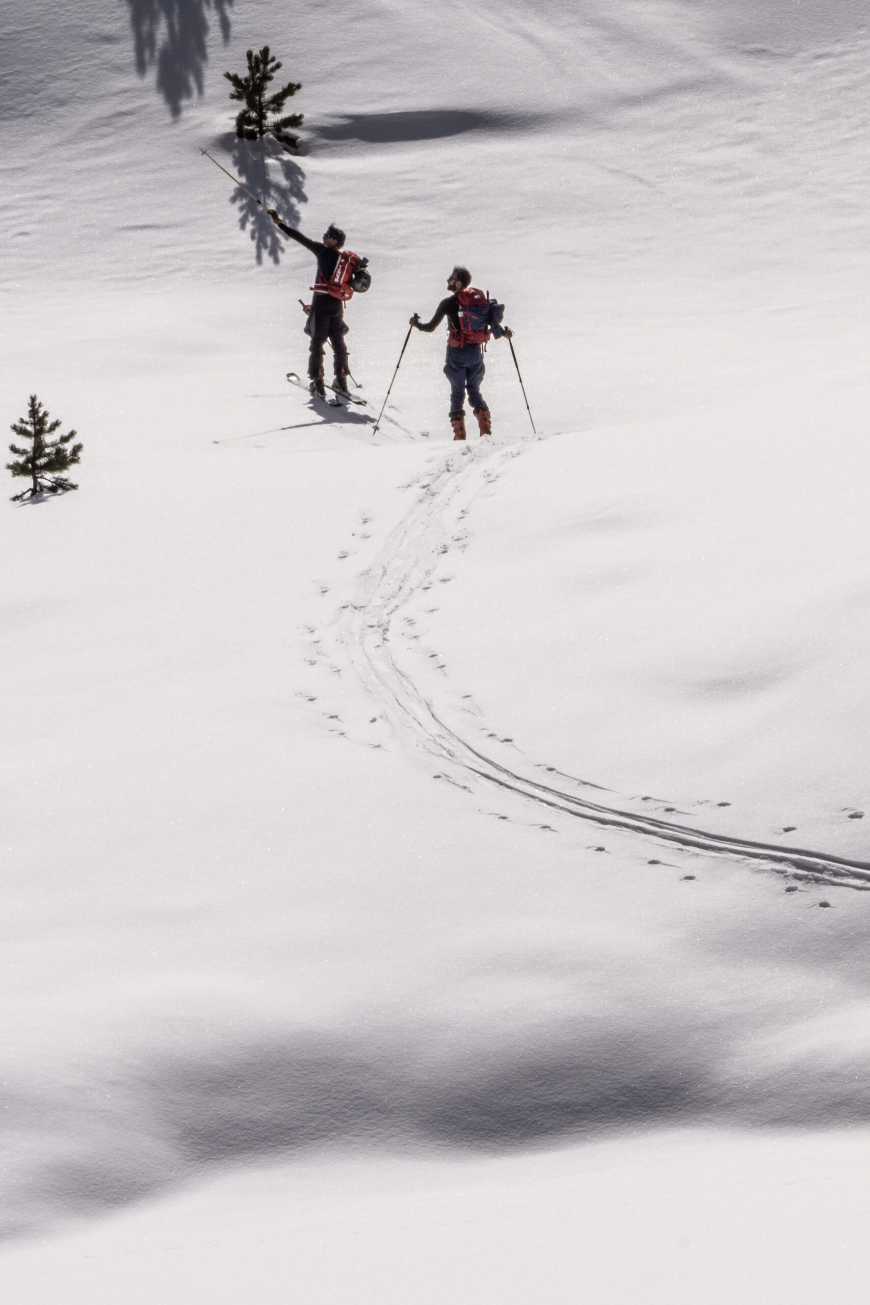 Actividad esqui en Baqueira